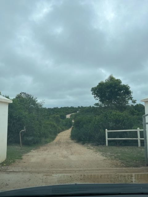 14 Bedroom Property for Sale in Roodefontein AH Western Cape